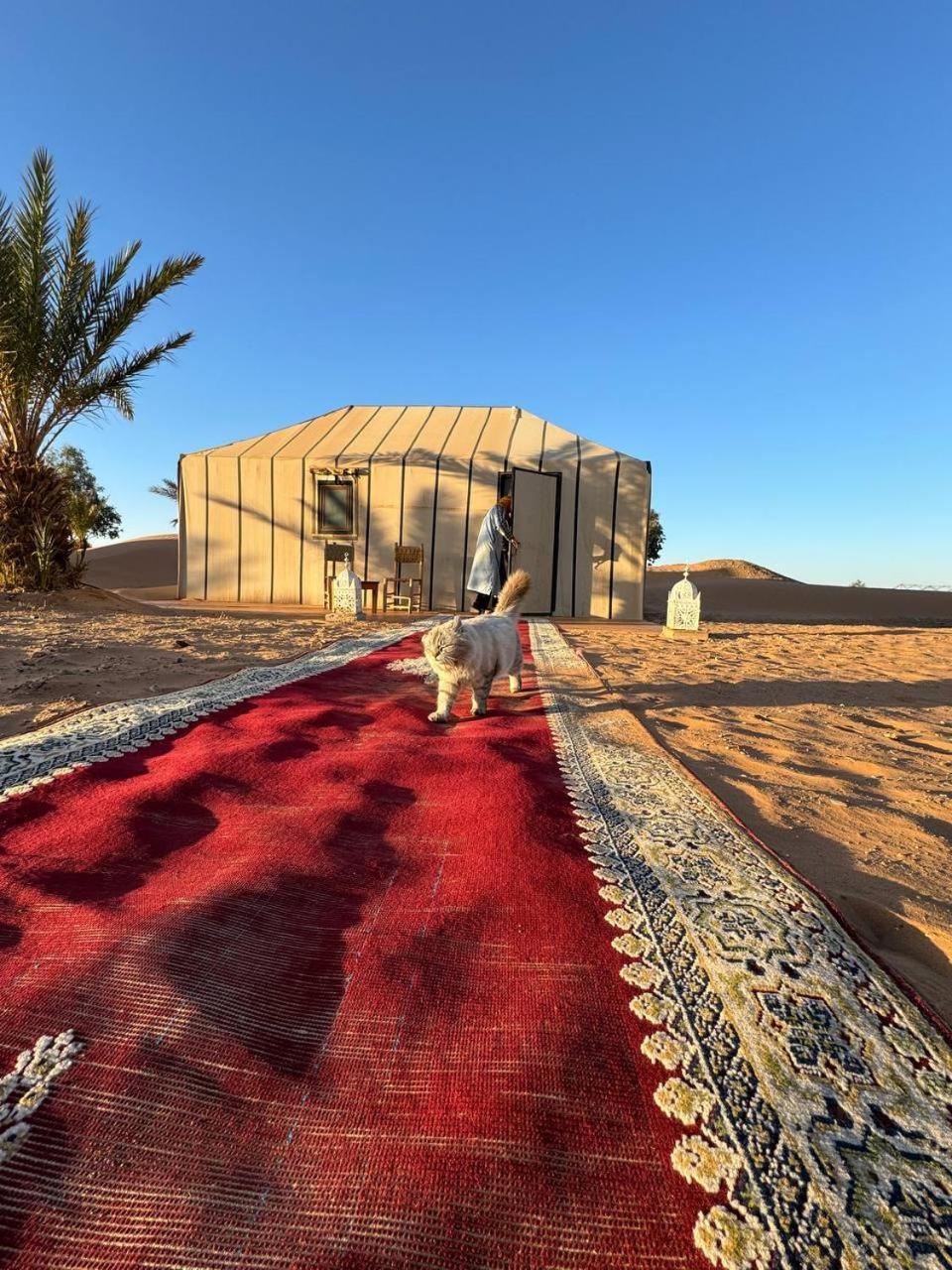 梅尔祖卡 Sahara Luxury Camp Vip酒店 外观 照片