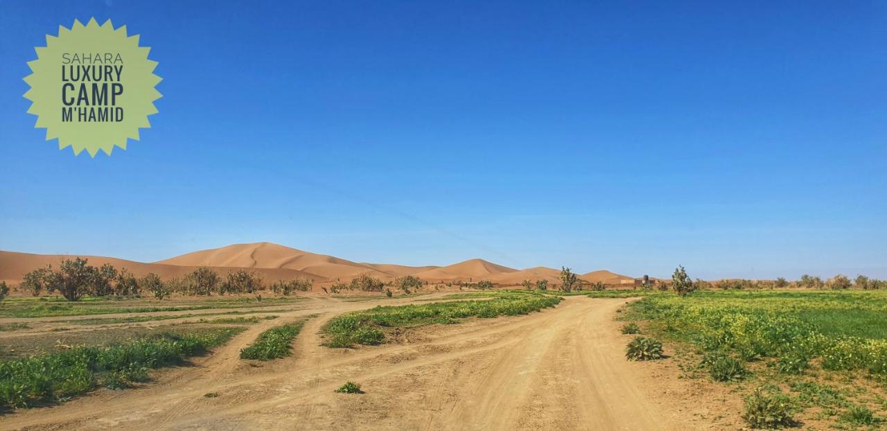 梅尔祖卡 Sahara Luxury Camp Vip酒店 外观 照片